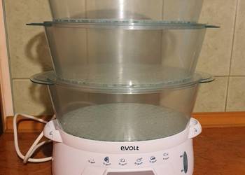 Parowar EVOLT EK629, sprawny