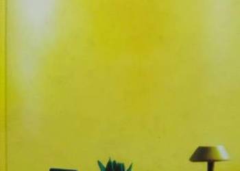 PLAC ZABAW - KOCHAN MAREK