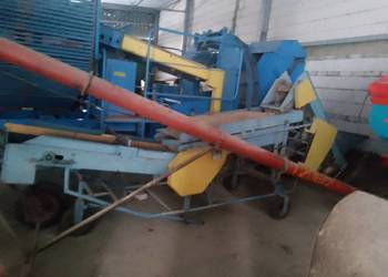 Sortownik do ziemniaków