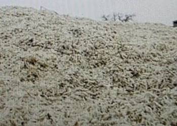 Sprzedam wysłodki mokre