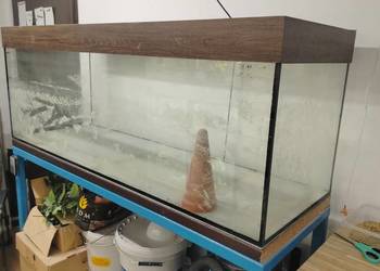 Sprzedam akwarium 375l