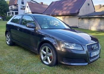Audi a3 8p 2010r