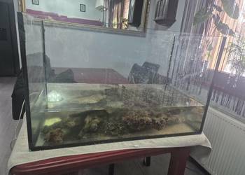 Akwarium 90x45x55