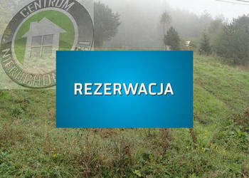 Działkę sprzedam 2400m2 Nowy Sącz