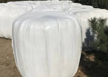 Sianokiszonka kiszonka bele