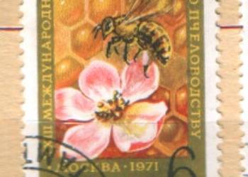 Zn. ZSRR Mi 3870 kas 1971