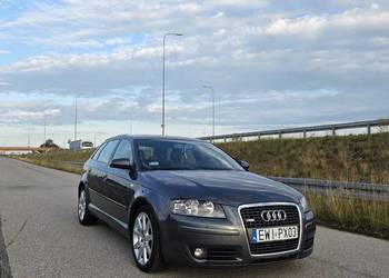 Audi A3 8P 2.0 TDI S-line
