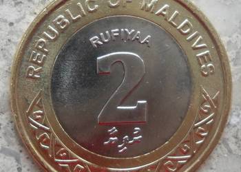 MALEDIWY-2 RYFIYAA-2017 r (MUSZLA)-BIMETAL