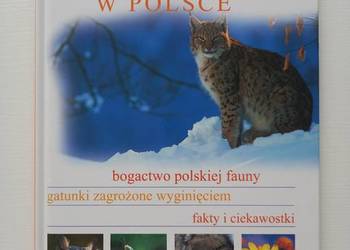 Edukacja Przyroda Zwierzęta chronione w Polsce (seria Świat wokół nas)