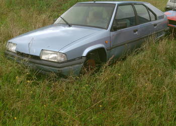 Citroen bx 1,9 d sprawny ze skrzynia automat.na chodzie,caly,lub na czesci.