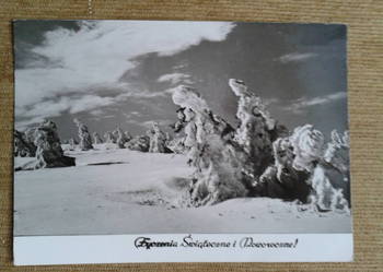 WIDOK ZIMOWY - FOT. ARCZYŃSKI
