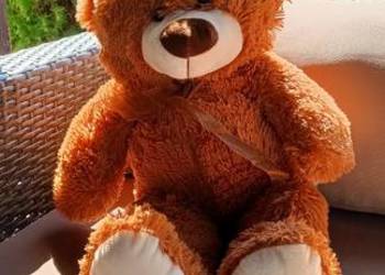 Maskotka miś Mirimoo