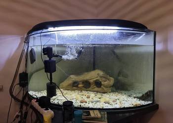 Akwarium samo szkło 300 l narożne