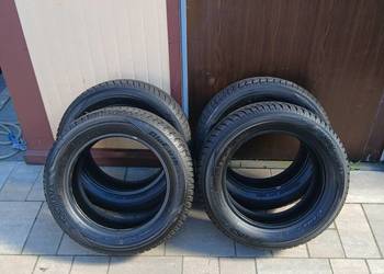 Opony zimowe Yokohama Bluearth Winter 185/60/15